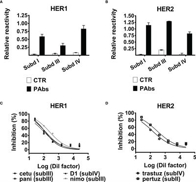 Polyclonal antibody-induced downregulation of HER1/EGFR and HER2 surpasses the effect of combinations of specific registered antibodies